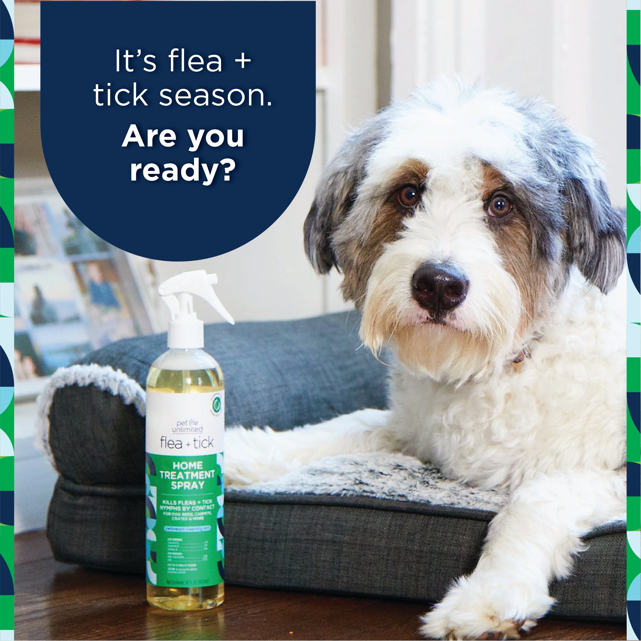 Flea Tick Home Treatment Spray Pet Life Unlimited