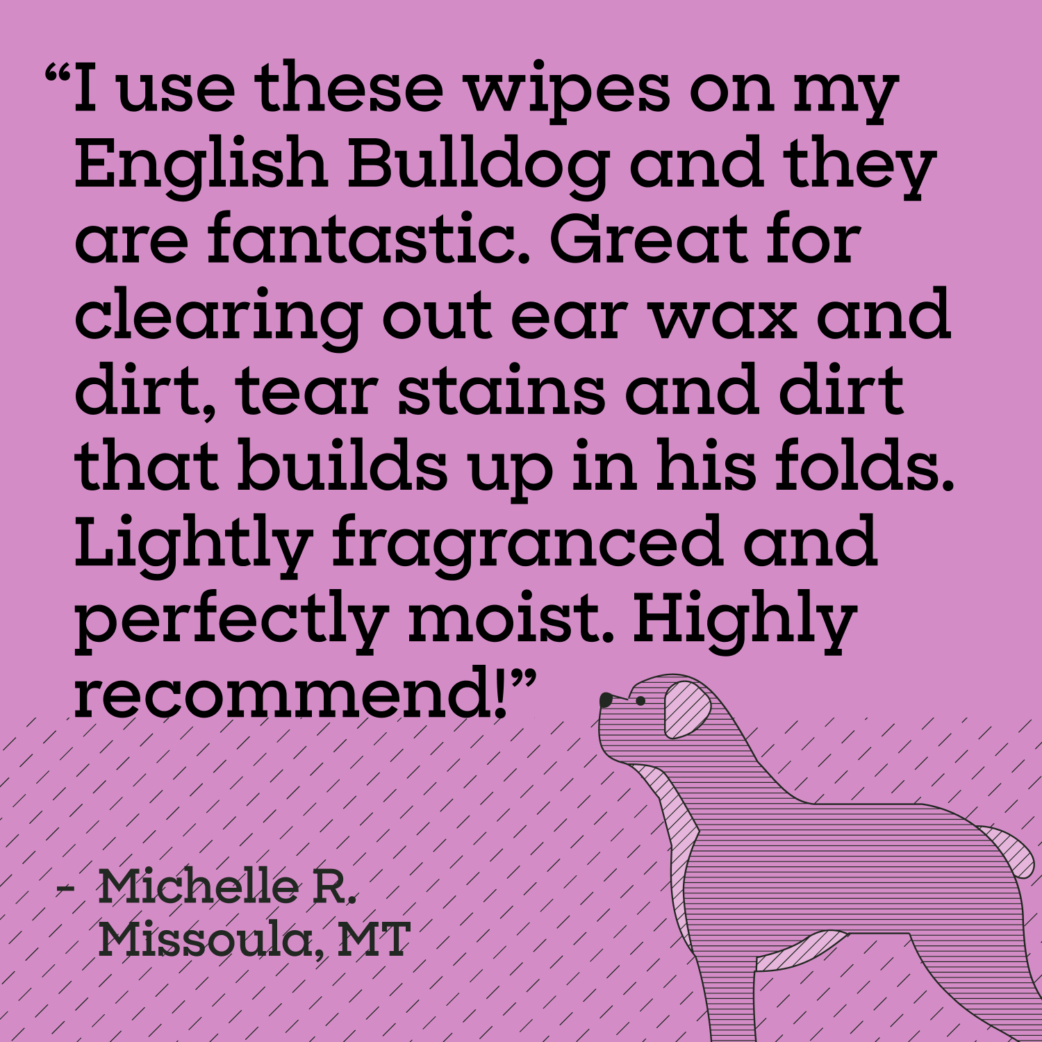 Eye &amp; Ear Dog Wipes