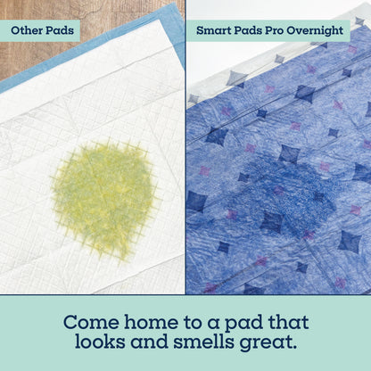 Almohadillas para perros Overnight Smart Prints