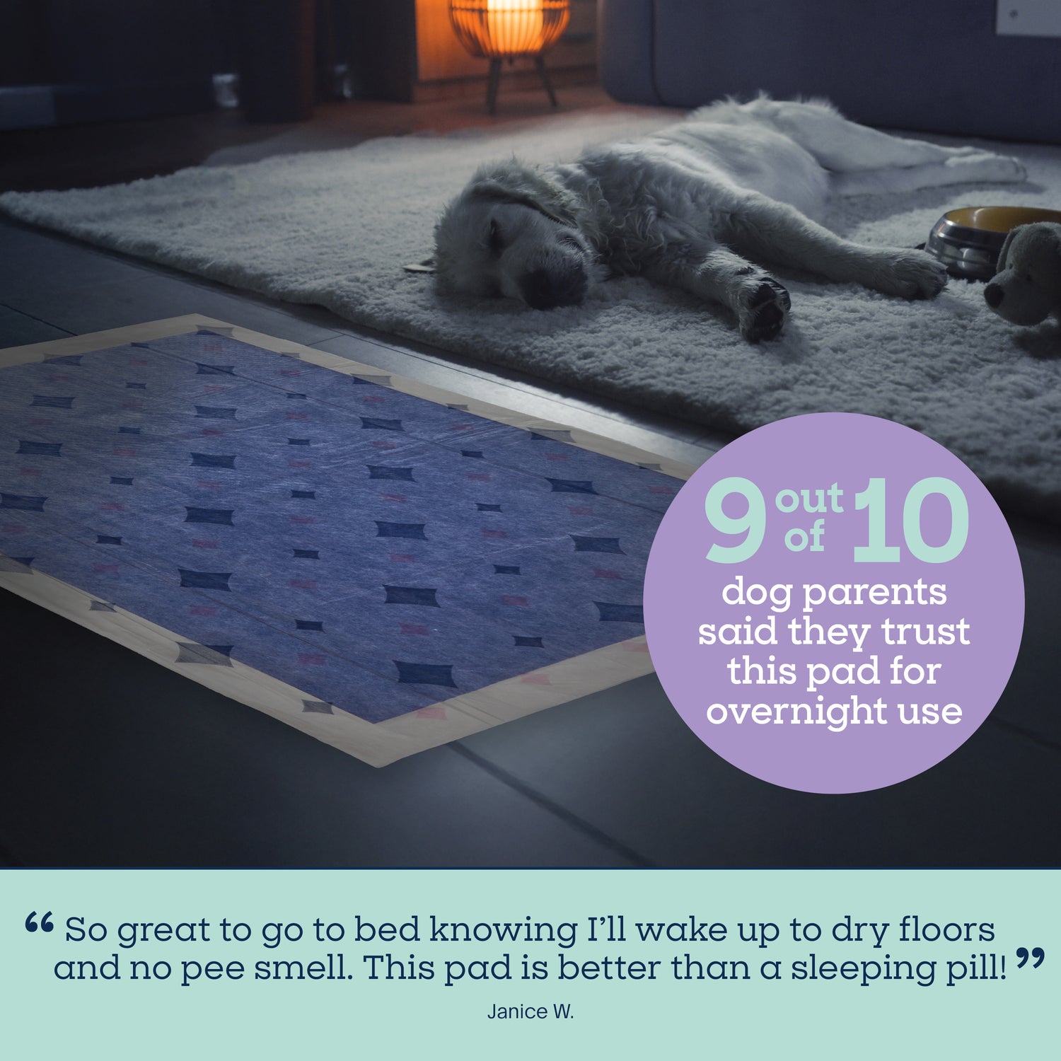 Almohadillas para perros Overnight Smart Prints