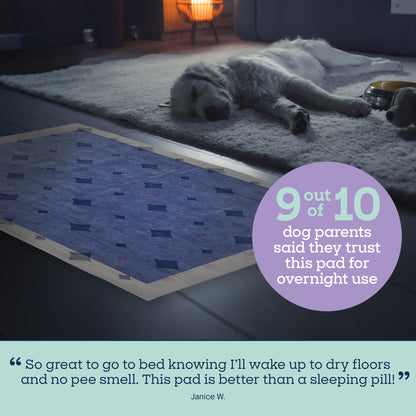 Almohadillas para perros Overnight Smart Prints