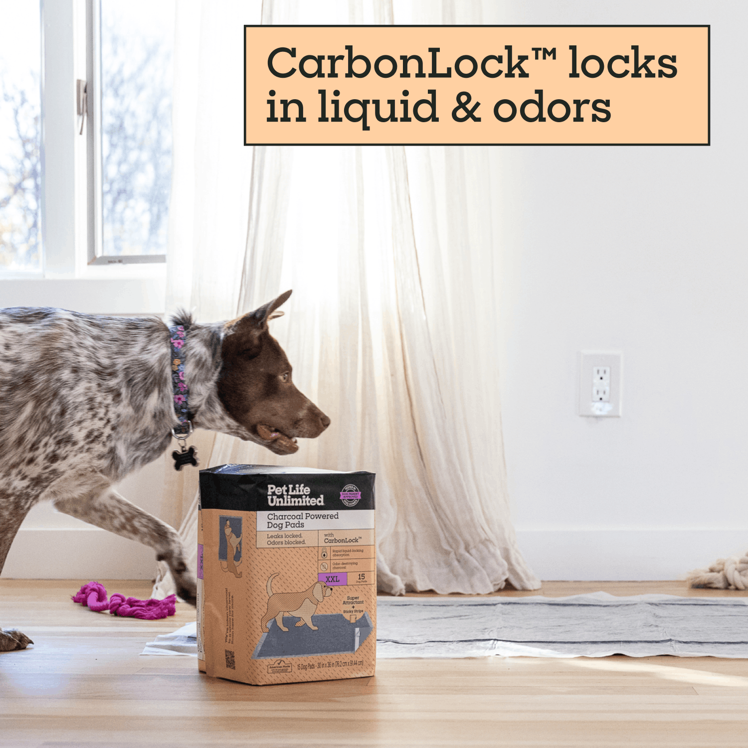 Charcoal Powered Dog Pads, XXL