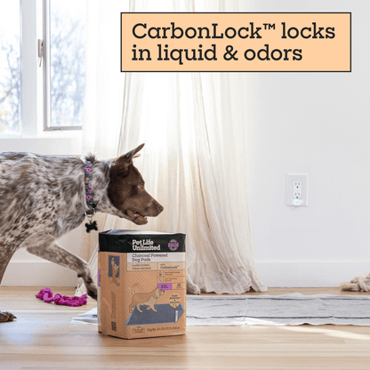 Charcoal Powered Dog Pads, XXL