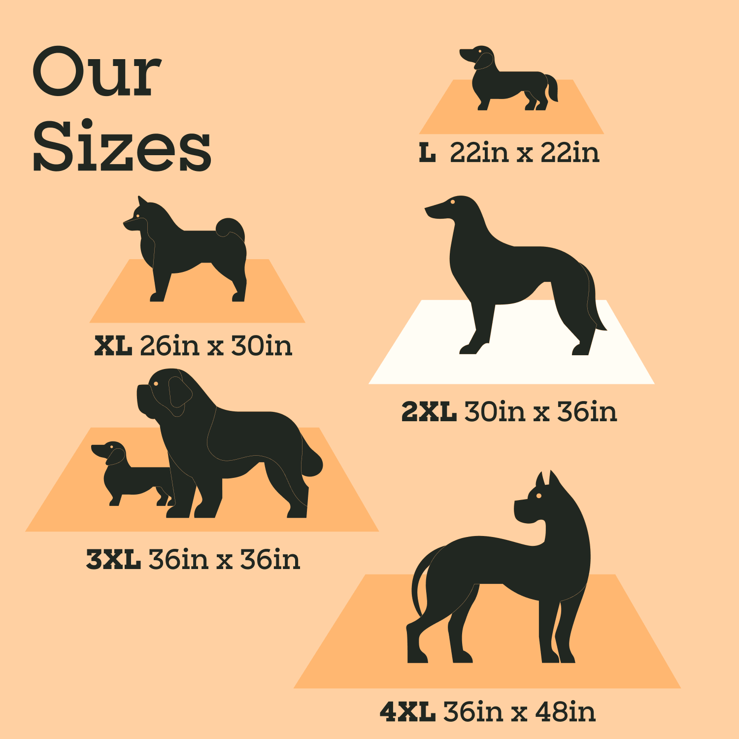 Charcoal Powered Dog Pads, XXL