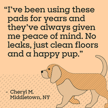 Charcoal Powered Dog Pads, XXL