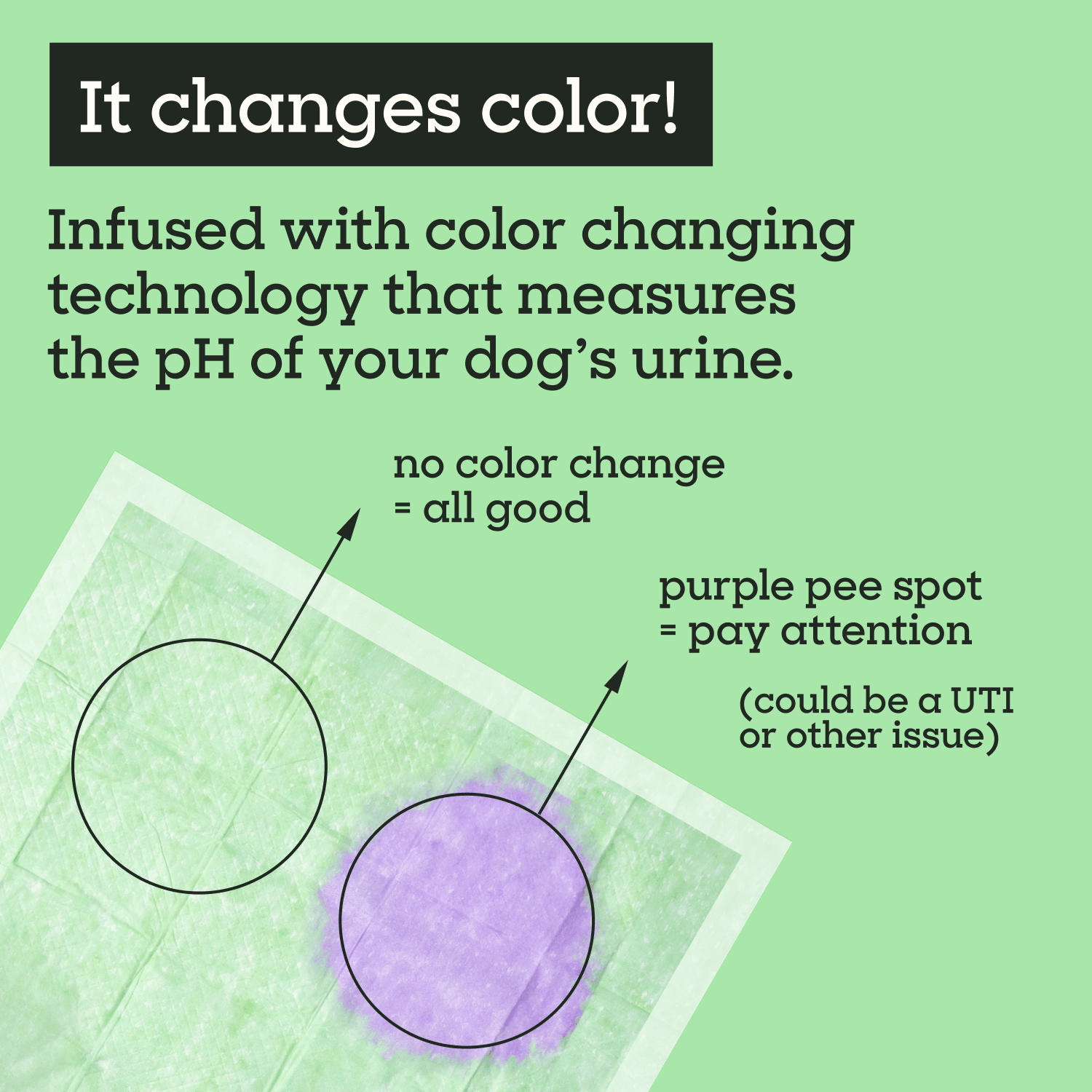 Health Check Dog Pads