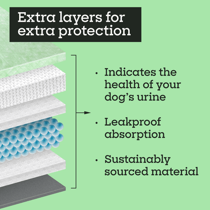 Health Check Dog Pads