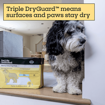 Heavy Duty Dog Pads, 3XL