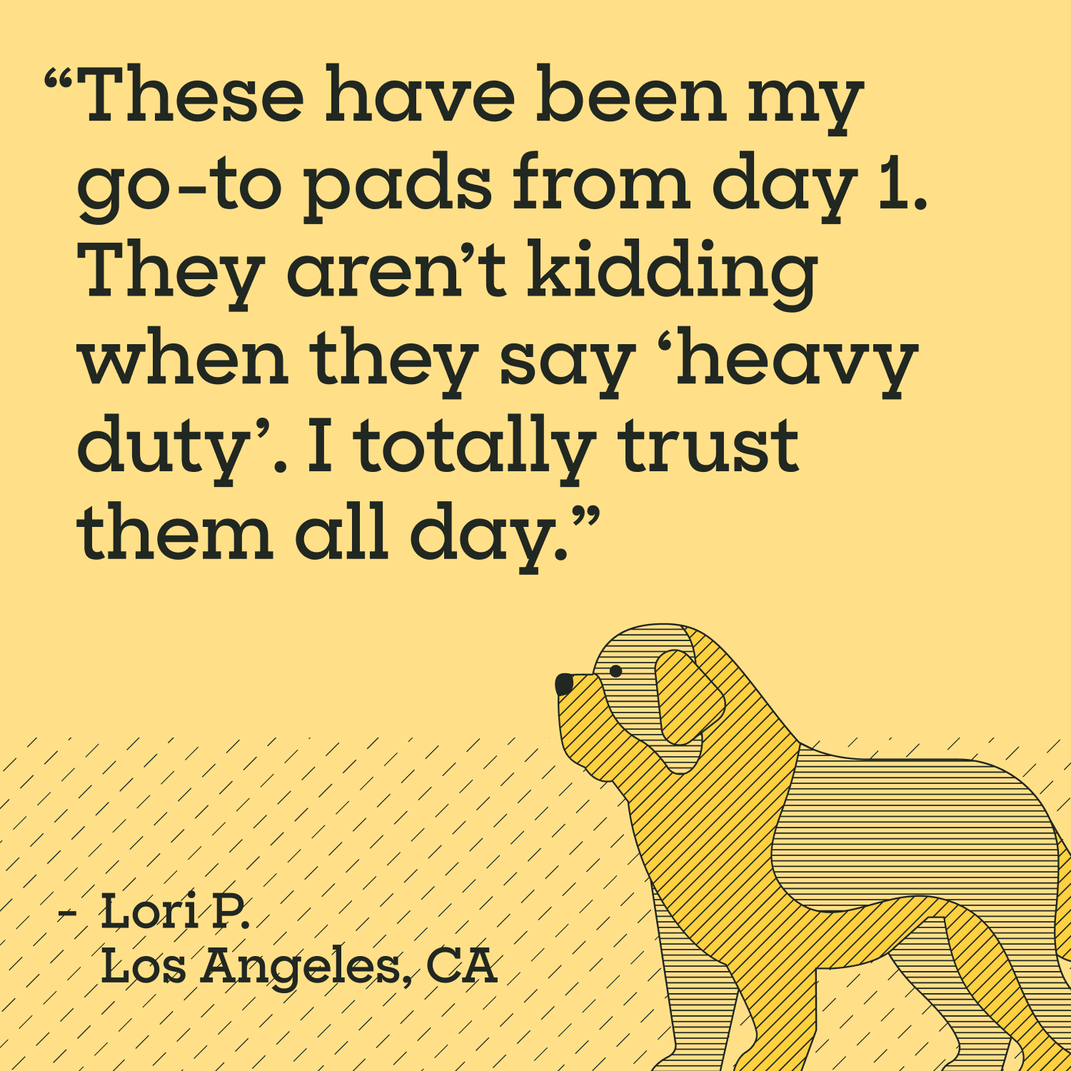 Heavy Duty Dog Pads, 3XL