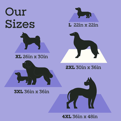 Overnight Dog Pads, XXL