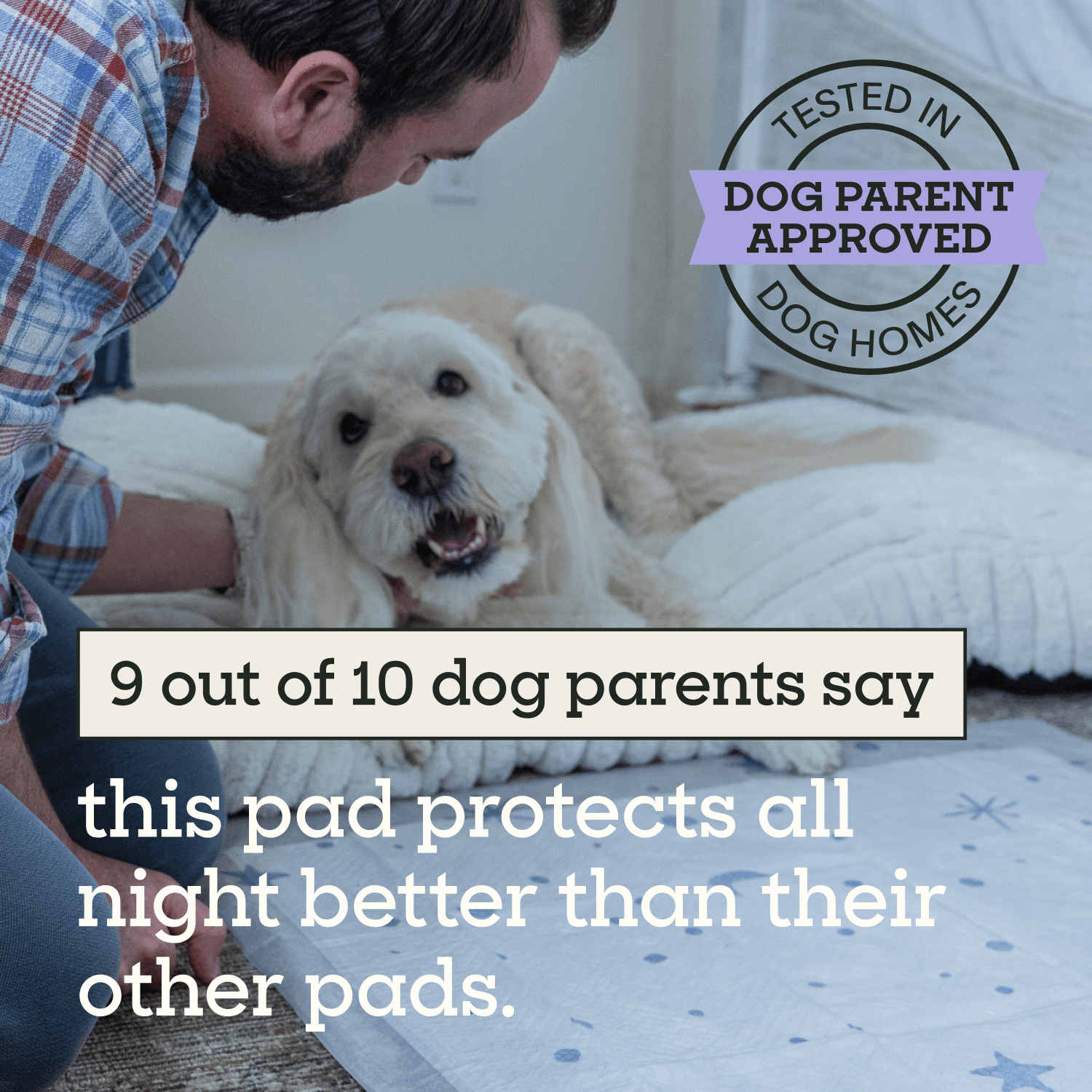 Overnight Dog Pads, XXL