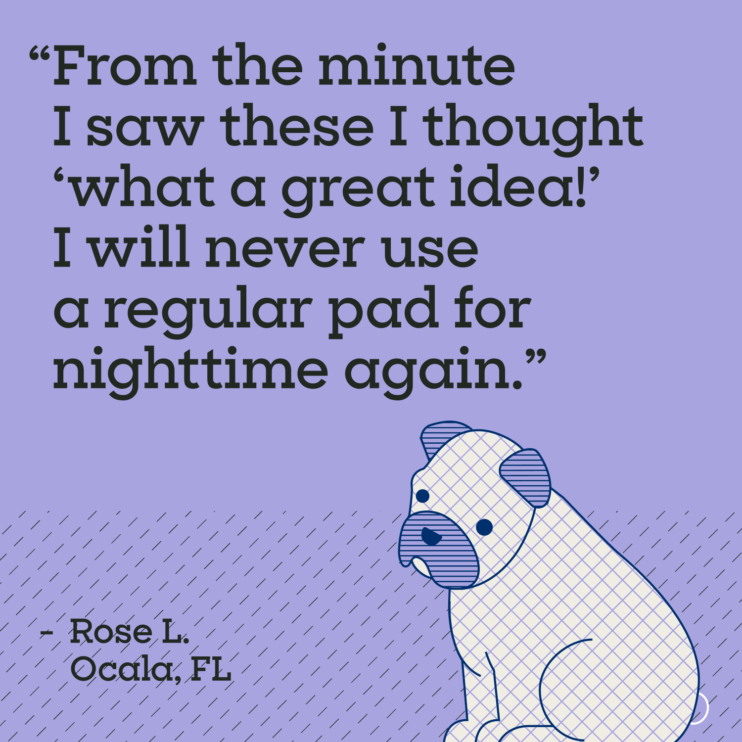 Overnight Dog Pads, XXL