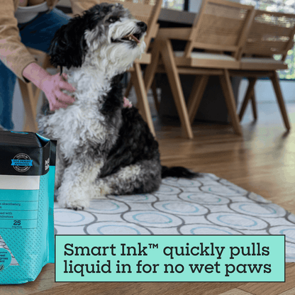 Smart Print Dog Pads, 3XL