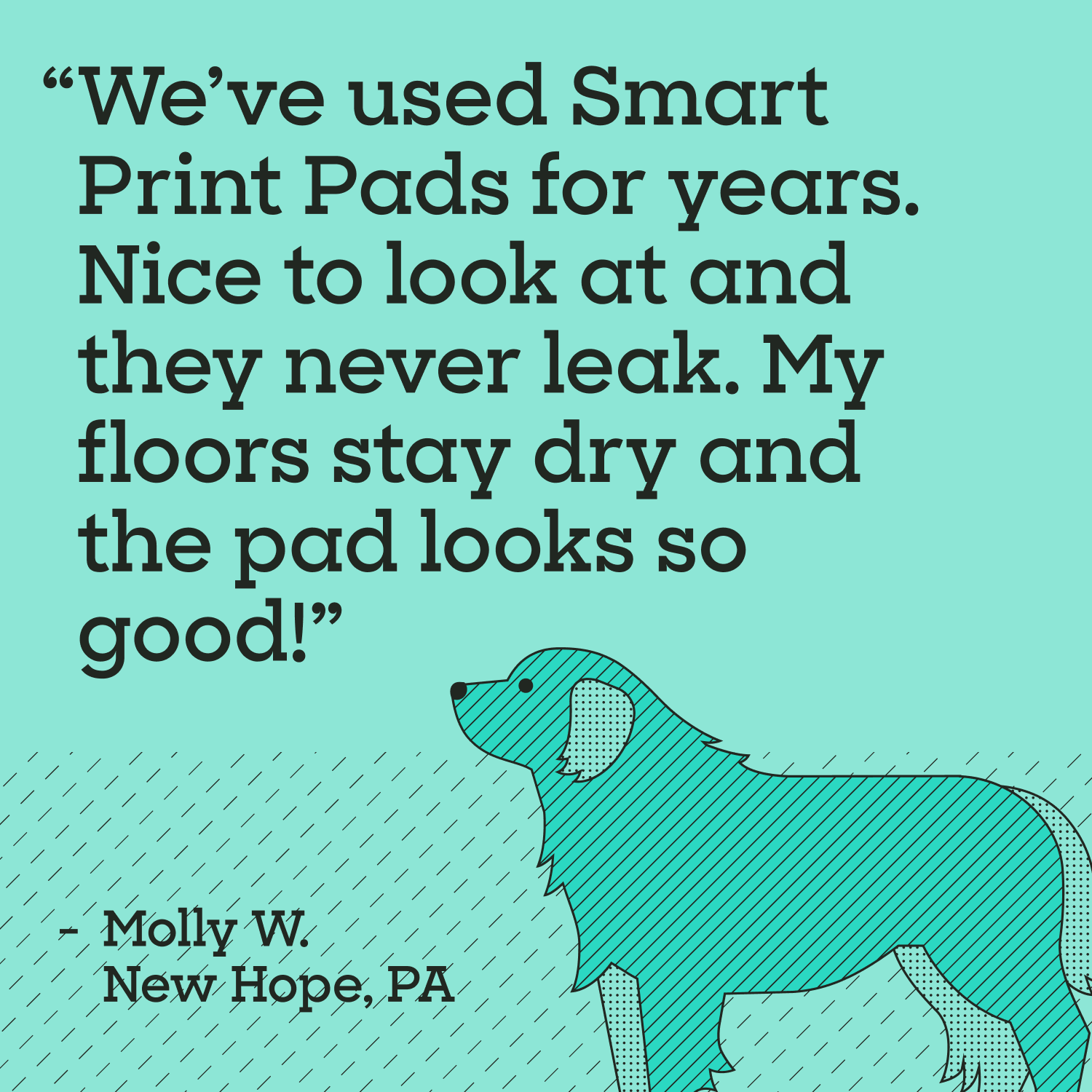 Smart Print Dog Pads, 3XL