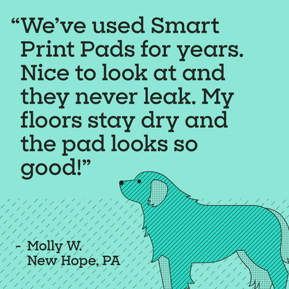 Smart Print Dog Pads, 3XL