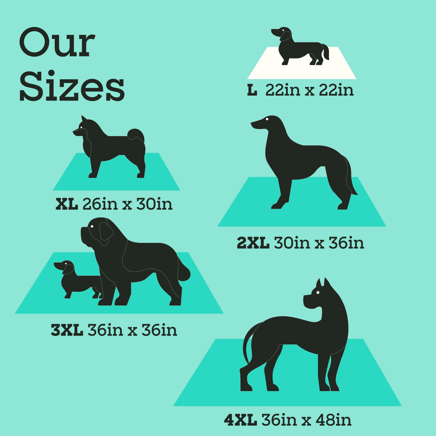 Smart Print Dog Pads, Large