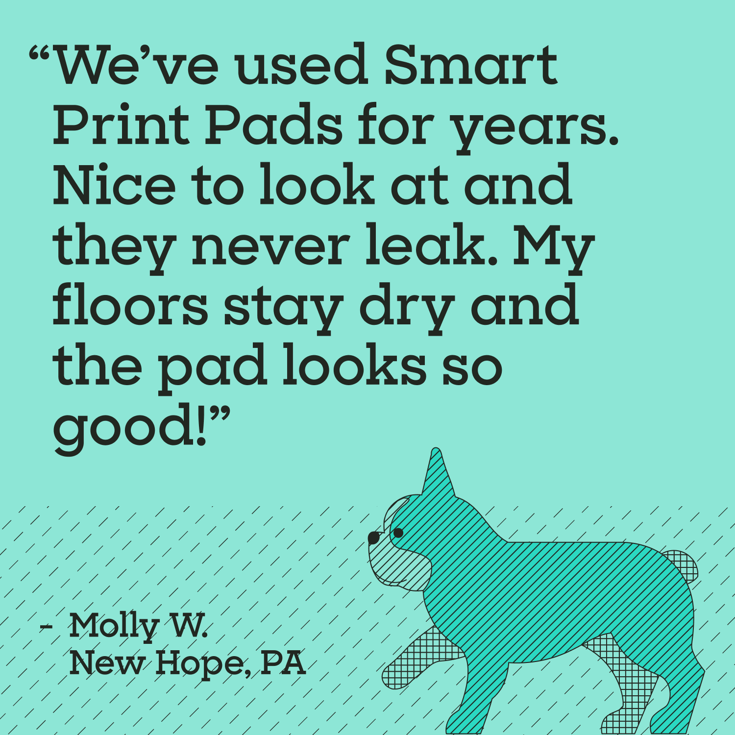 Smart Print Dog Pads, Large