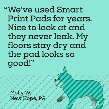 Smart Print Dog Pads, Large