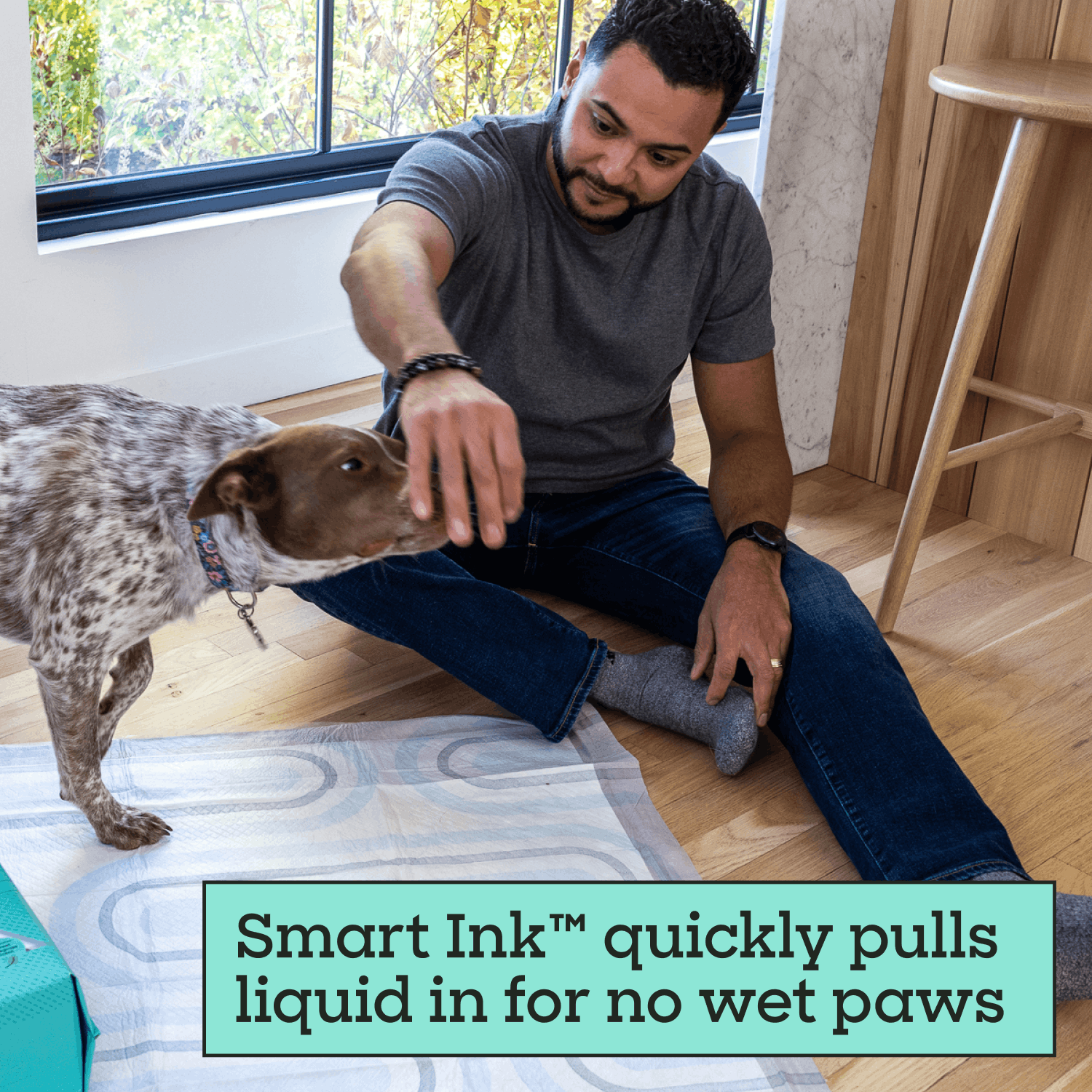 Smart Print Dog Pads, XL