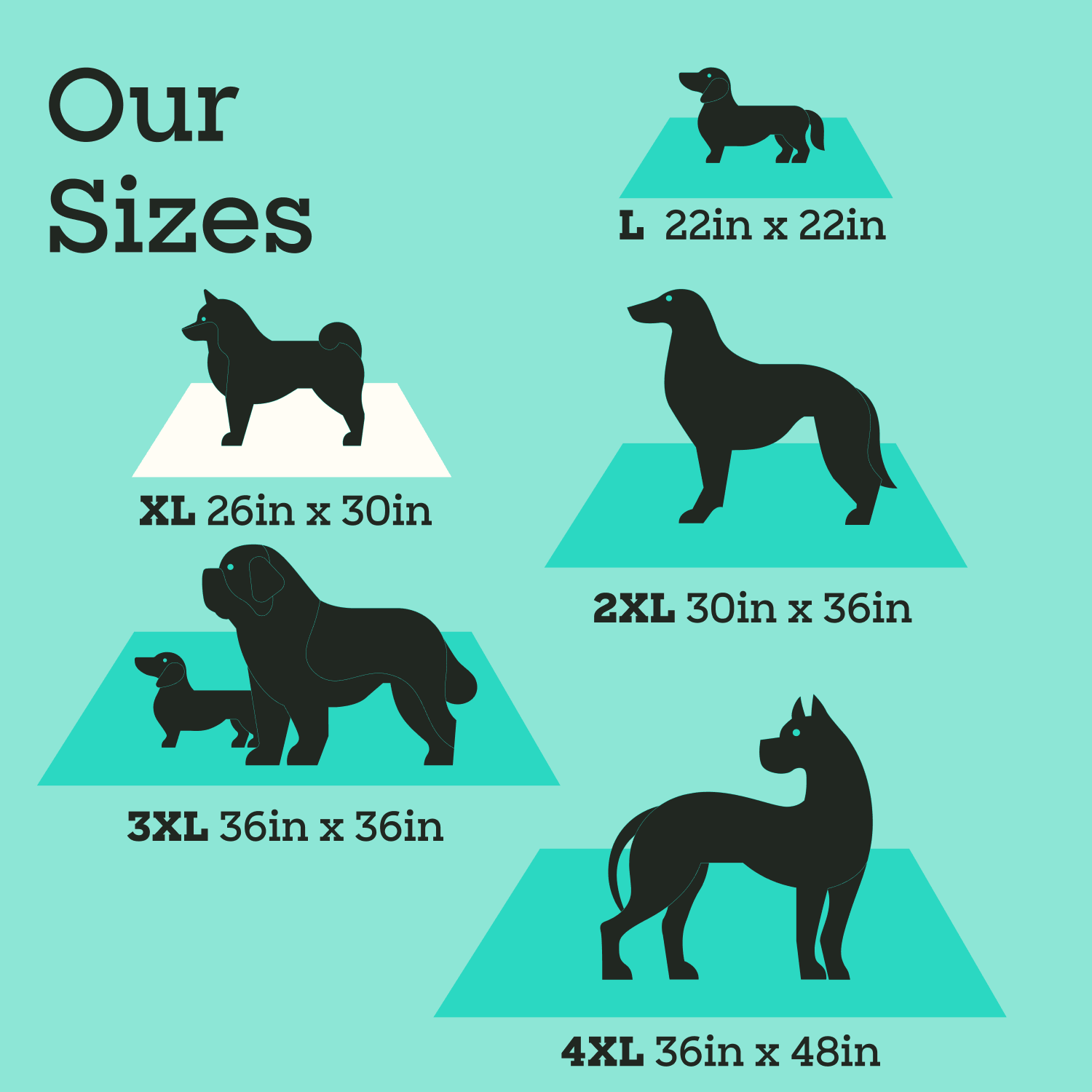 Smart Print Dog Pads, XL