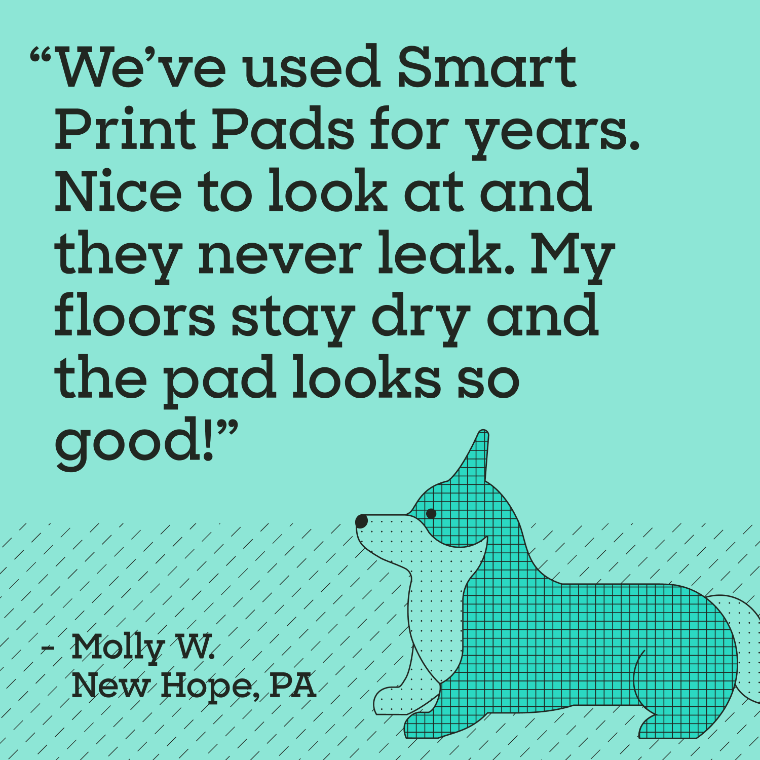 Smart Print Dog Pads, XL