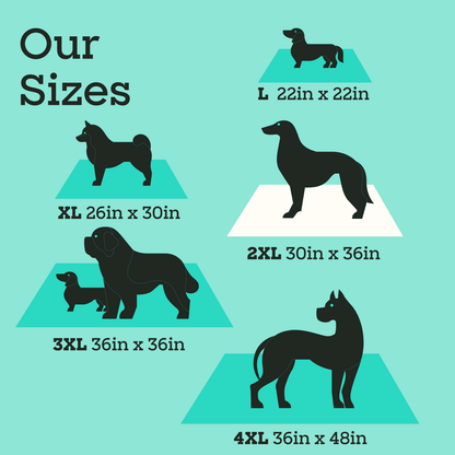 Smart Print Dog Pads, XXL