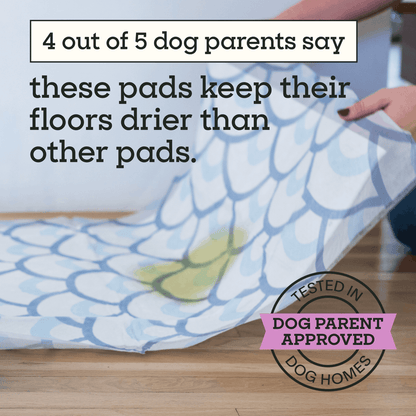 Smart Print Dog Pads, XXL