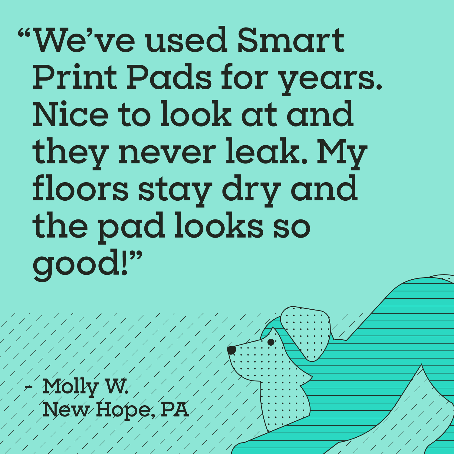Smart Print Dog Pads, XXL