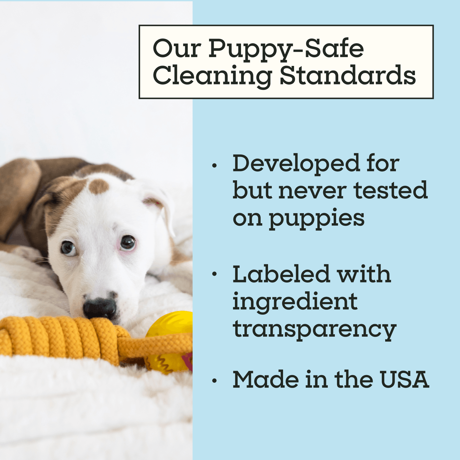 Puppy Home Cleaning Spray