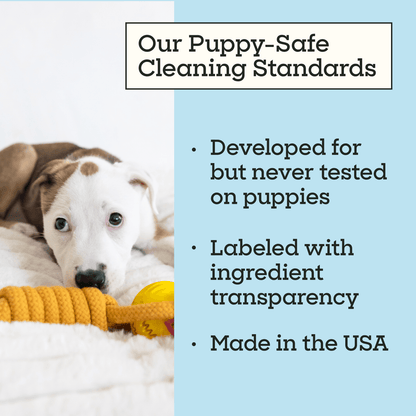 Puppy Home Cleaning Spray