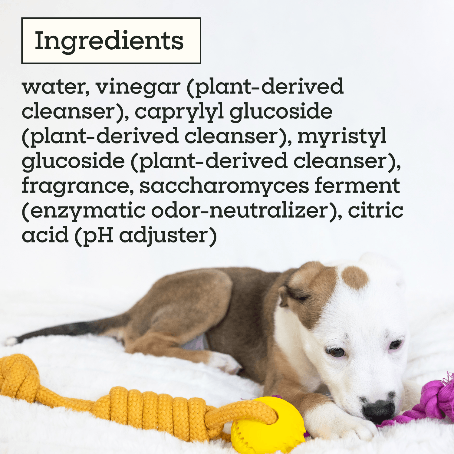 Puppy Home Cleaning Spray