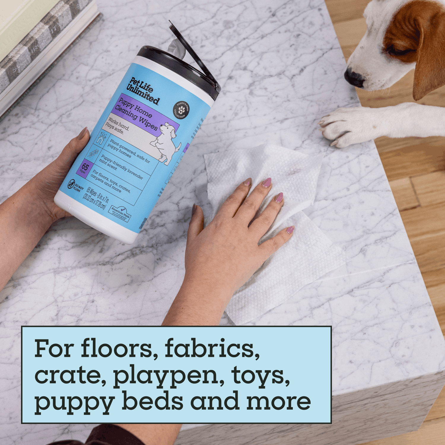 Puppy Home Cleaning Wipes