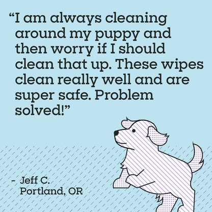 Puppy Home Cleaning Wipes