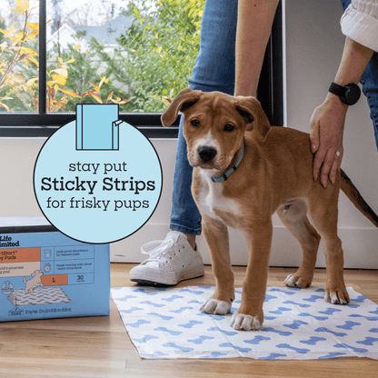 SmartStart Puppy Pads