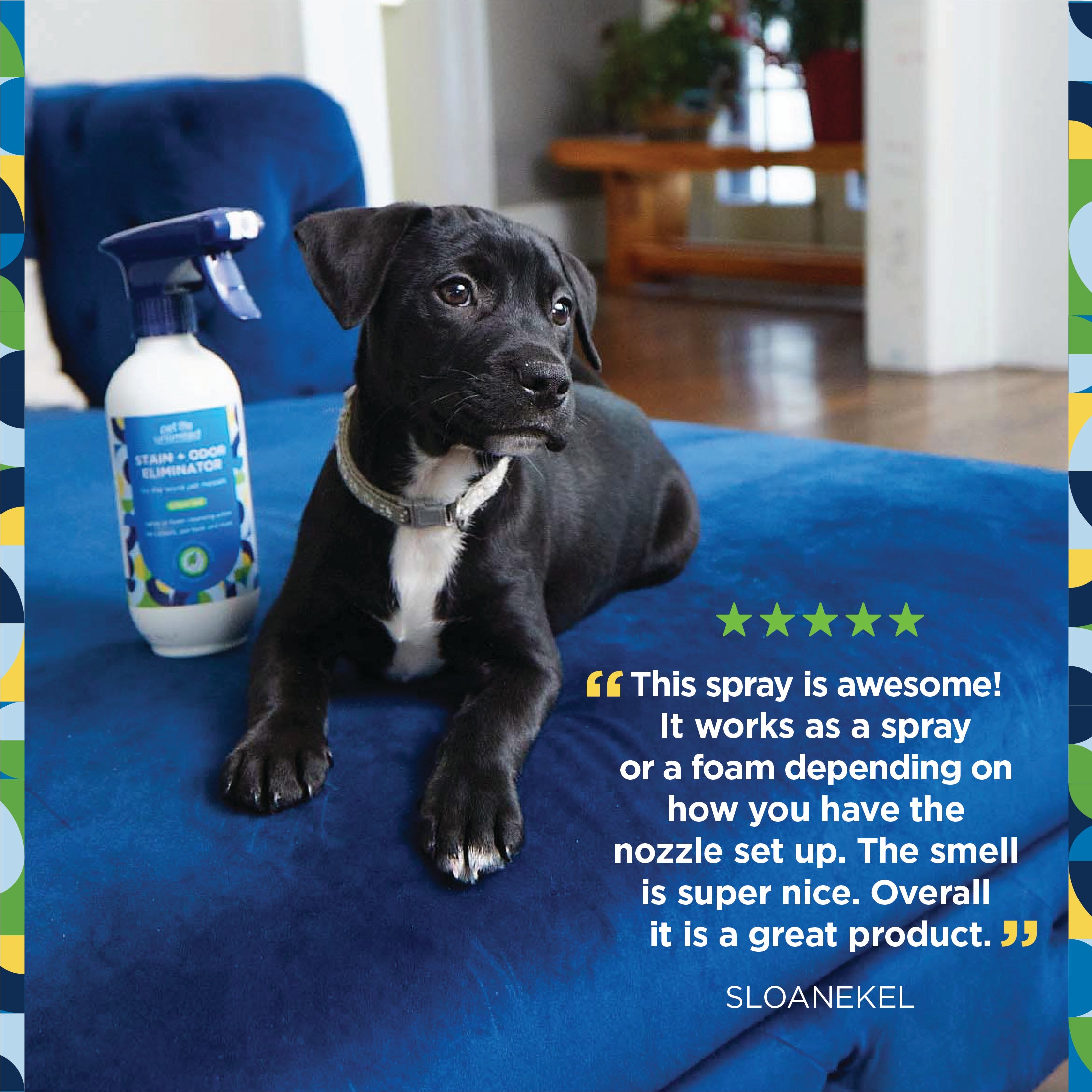 Best pet odor eliminator for furniture best sale