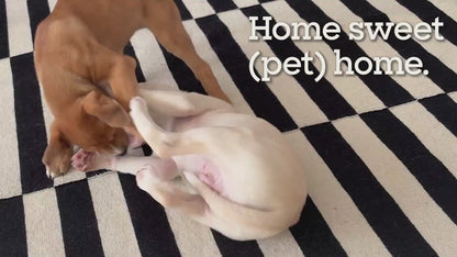 Carpet Refresher, Wild Sage &amp; Neroli