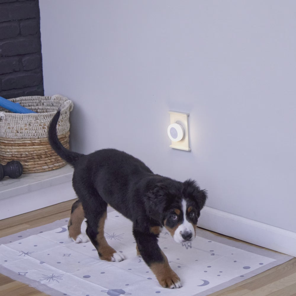 Overnight Dog Pads, XXL