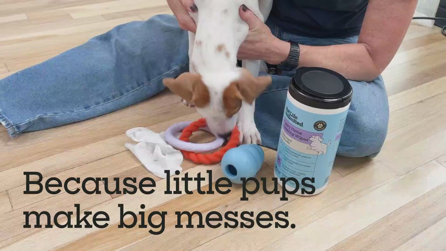 Puppy Home Cleaning Wipes