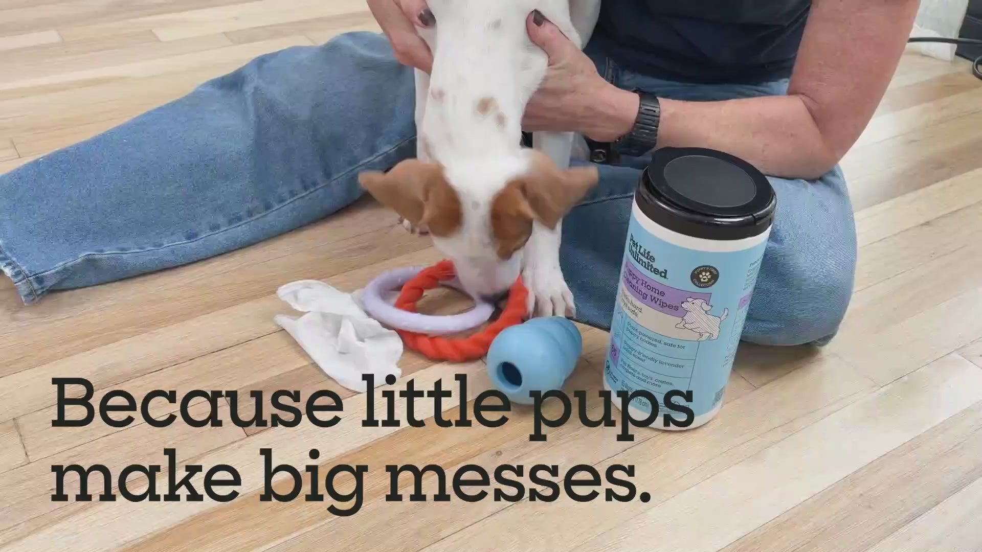 Puppy Home Cleaning Wipes