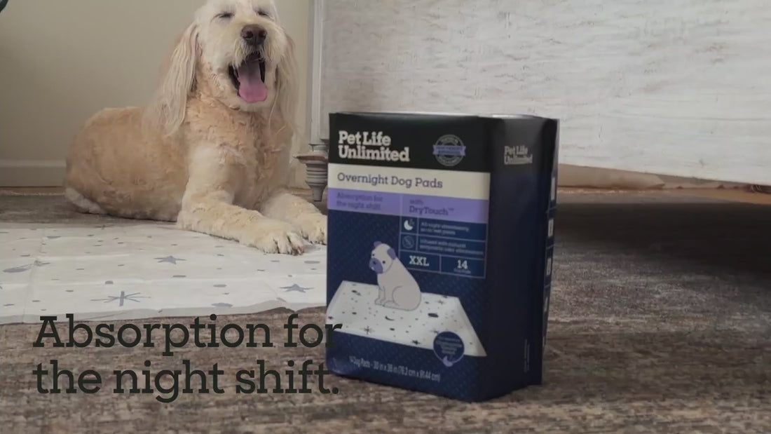 Overnight Dog Pads, XXL