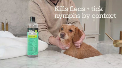 Flea &amp; Tick Treatment Shampoo for Dogs