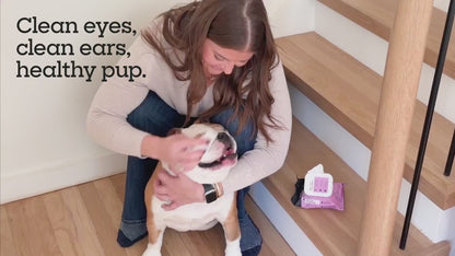 Eye &amp; Ear Dog Wipes