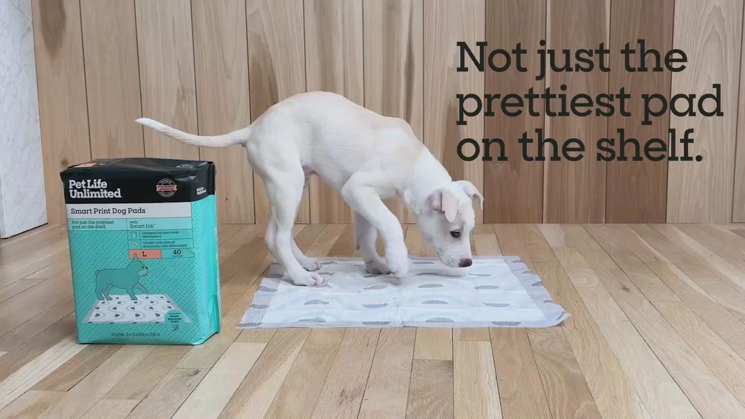 Smart Print Dog Pads, Large