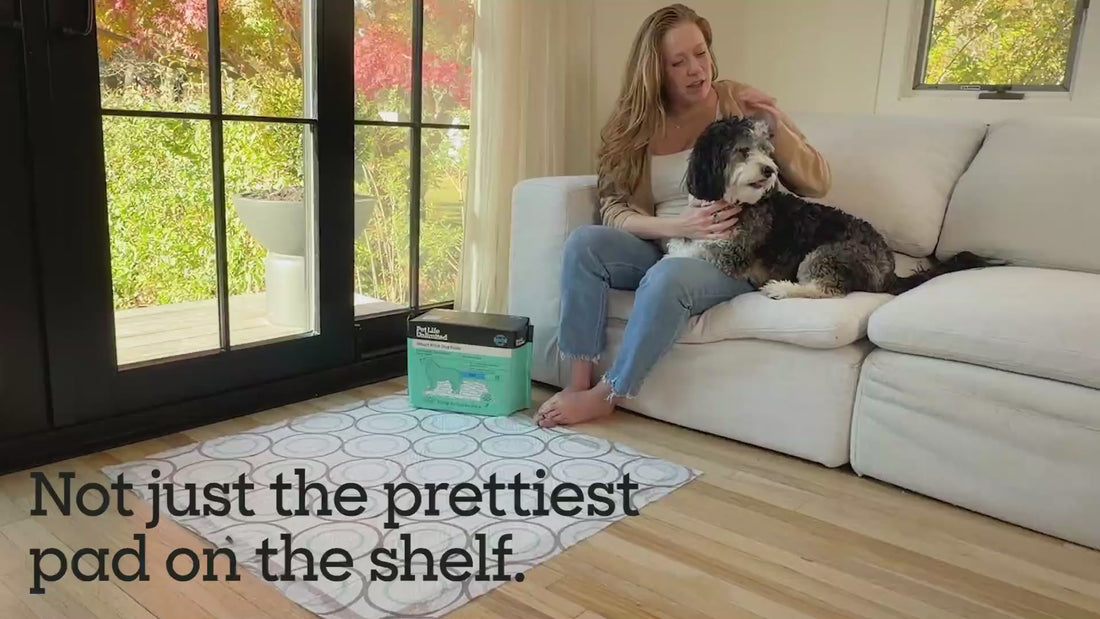 Smart Print Dog Pads, 3XL