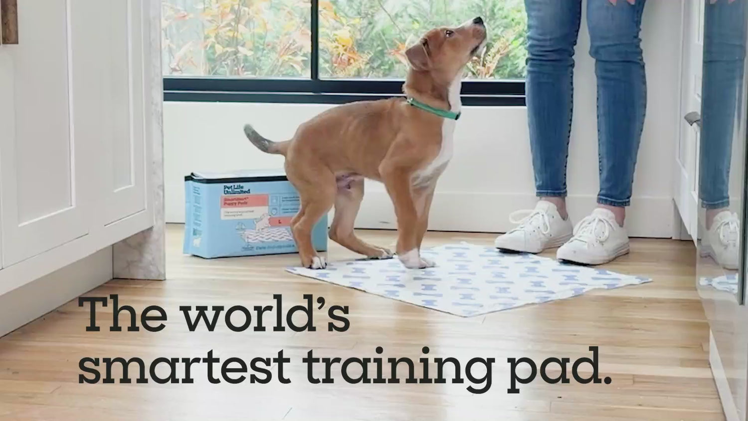 SmartStart Puppy Pads