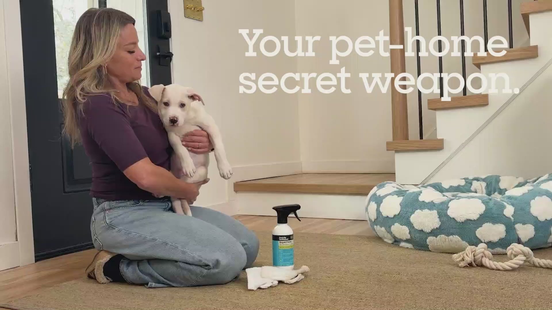 SuperFoam for Pet Stains &amp; Odors