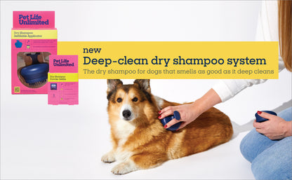 Dry Shampoo Refillable Applicator