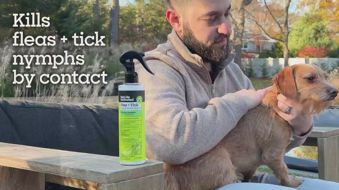 Flea &amp; Tick Dog &amp; Home Spray