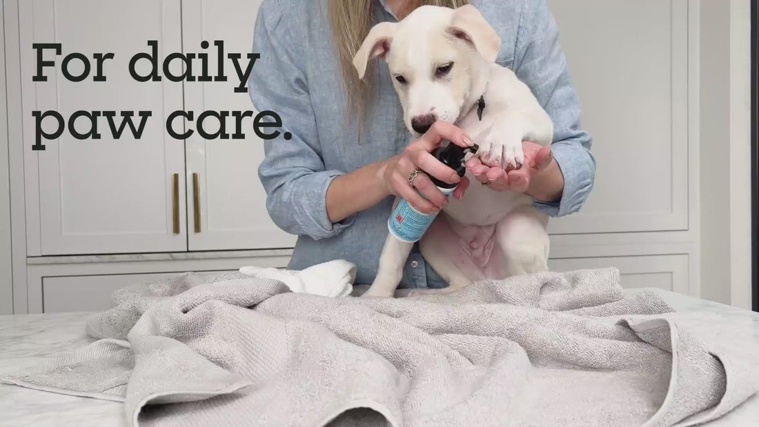 Puppy Paw Daily Cleanser