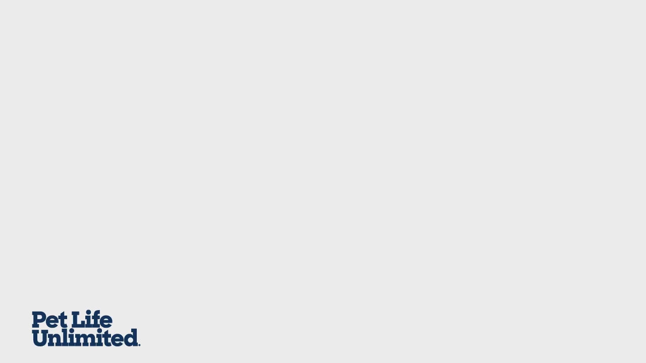 Overnight Smart Pads Pro, XXL